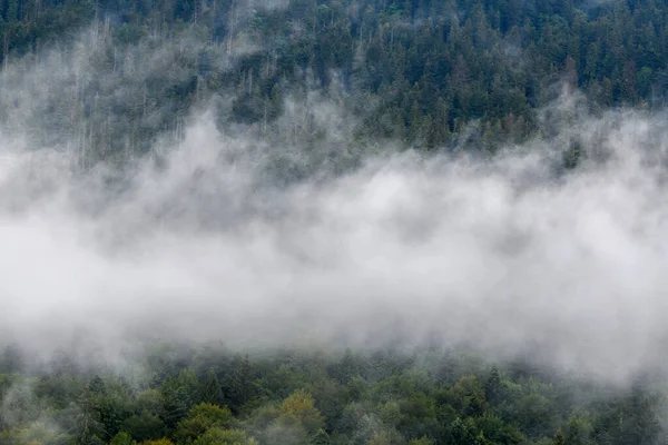 Vista Maestosa Bellissime Montagne Nebbia Nuvole Paesaggio Nebbioso Ora Legale — Foto Stock
