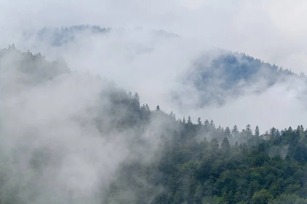Güzel Sis Bulut Dağlarının Sisli Manzarası Rai Den Sonraki Yaz — Stok fotoğraf