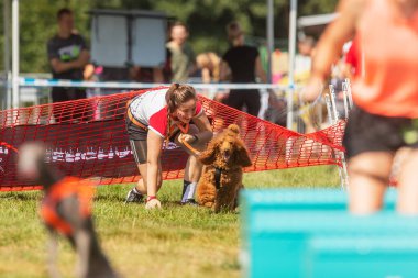 ZERNOV, CZECHIA-22 Ağustos 2020: Büyük ağın altında sürünen aşırı köpek yarışı