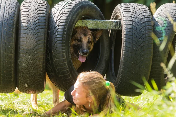 Zernov Tjeckien Augusti 2020 Extrem Hund Ras Toadying Däck Barriär — Stockfoto