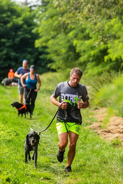 Zernov Tjeckien Augusti 2020 Extrem Hundkapplöpning Löpning Med Fastspänd Hund — Stockfoto