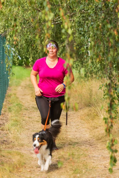 ZERNOV, CZECHIA-22 Ağustos 2020: Kemerde çivilenmiş bir köpekle koşmada aşırılık köpek yarışı