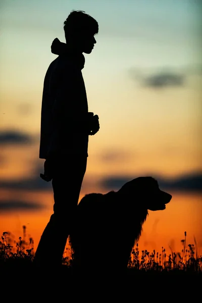 Silhueta Menino Cão Durante Pôr Sol — Fotografia de Stock