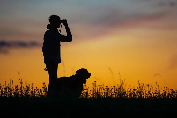 Sylwetka Chłopca Psa Podczas Zachodu Słońca — Zdjęcie stockowe