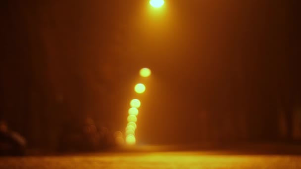 Mulher com um carrinho atravessa a estrada, rua noturna vazia no desfoque e nevoeiro. lanternas pairam sobre a estrada. Movimento lento — Vídeo de Stock