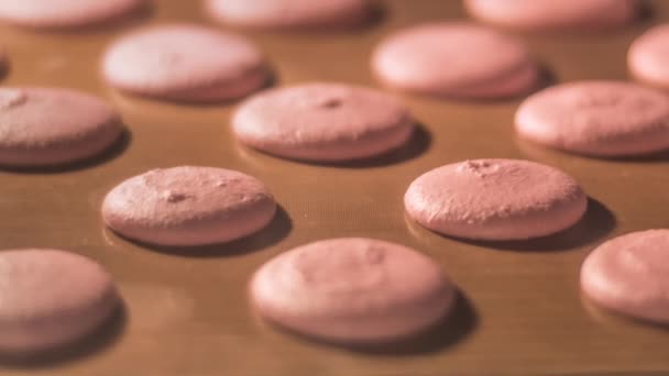 Processo de macarons assar no forno com movimento da câmera da esquerda para a direita — Vídeo de Stock