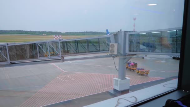 Bagage traktor med bagage enheter nära luft bron i flygplats. — Stockvideo