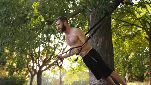 Vousatý mladý svalnatý muž dělat kliky na fitness smyčky u stromu. 4 k pomalé mo objektivu flare efekt záběry — Stock video