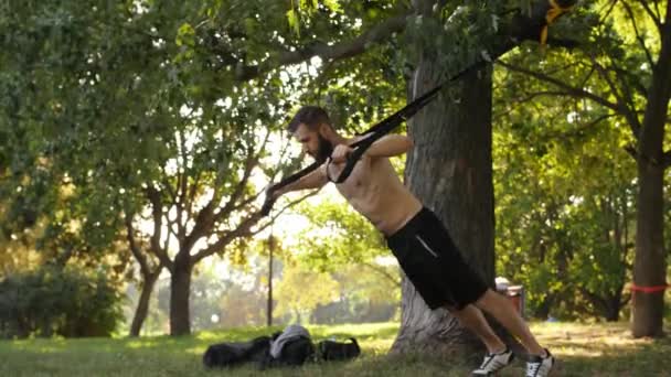 Skäggig muskulös atlet att göra push-up tränar med fitness loopar nära ett träd i parken. 4 k långsamma mo film — Stockvideo