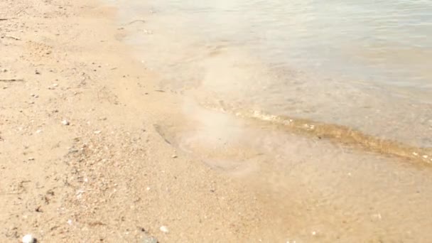 Vlny jsou posuvné přes písečné pobřeží v rozlišení 4k — Stock video