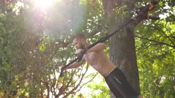 Joven barbudo haciendo flexiones en bucles de fitness cerca de un árbol en el parque del sol. Imágenes de efectos de bengala de lente mo lenta 4K — Vídeos de Stock