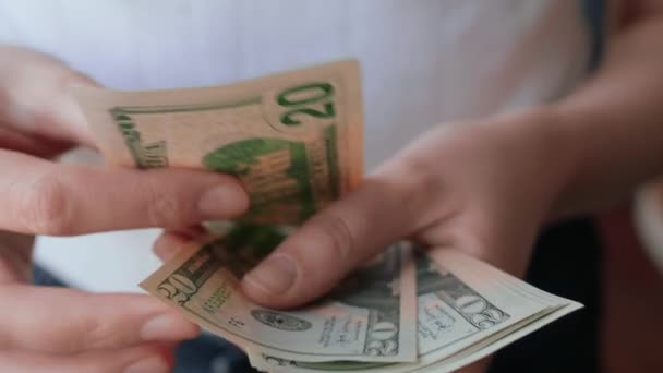 Frauenhände zählen viele amerikanische 20-Dollar-Banknoten 4k close up slow mo — Stockvideo