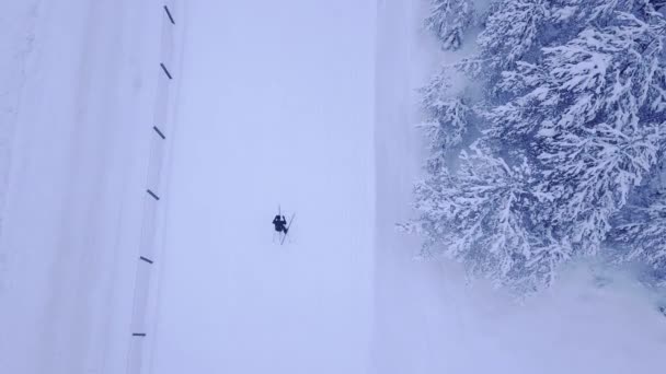 Video pandangan udara tentang pria atau wanita yang tak dikenal latihan ski di trek ski tertutup salju di hutan musim dingin pinus biru yang indah tanpa orang lain. Shot of drone view in 4K on UHD camera — Stok Video