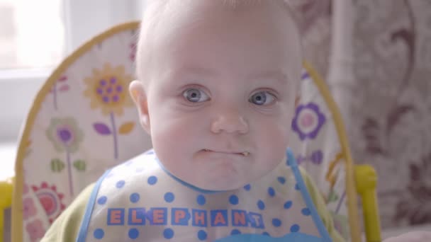 Beautiful little boy sitting at the table, eating a cookie and watching into the camera while his mother put on him the blue bib close up view slow mo video in 4K — 图库视频影像