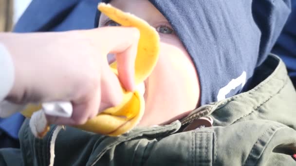 Lindo menino alimentado com banana. 4k UHD — Vídeo de Stock