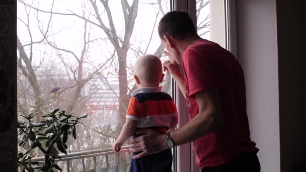 Старий і його чарівний маленький онук грають біля вікна і дідусь показують дитині хлопчика пташку на дереві за вікном у повільному русі середній постріл 4K в приміщенні відео — стокове відео