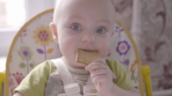 Beautiful small toddler boy at the table take a cookie in his hand, eating it and watching into the camera close up view slow mo video in 4K — Stock Photo, Image