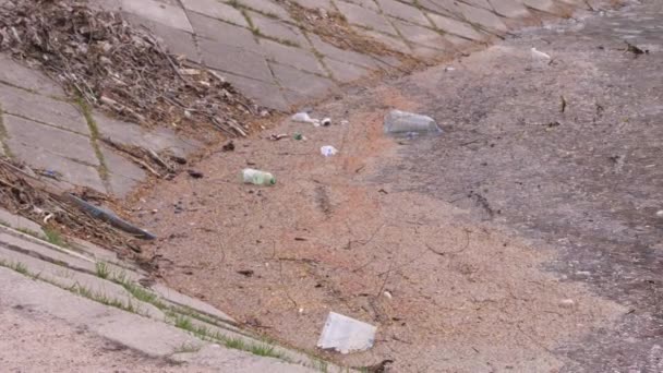 Algunas aves pequeñas beben en el muelle del río en un parque de la ciudad entre botellas de plástico, basura y otras sustancias contaminantes flotando en el agua del río en el fondo como un ejemplo de medio ambiente — Vídeo de stock