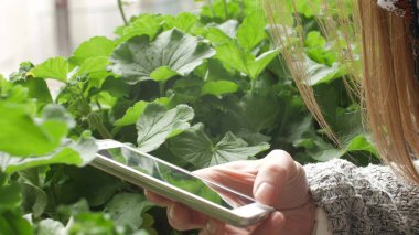 Kız balkonda bir cep telefonu kullanır. İçinde belgili tanımlık geçmiş güzel Ortaçağ sütunlar