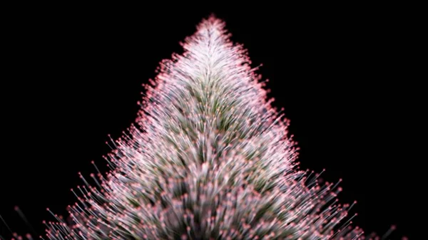 Parçacıklar sığ alan derinliği arka plan