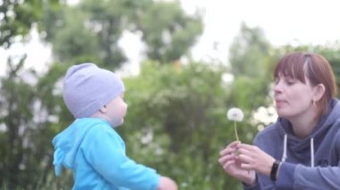 Genç bir kadın yaz bulutlu bir günde küçük oğluyla şehir parkında oynuyor. Arka planda ağaçlarla karahindiba üflüyor. Yavaş çekim videosu..