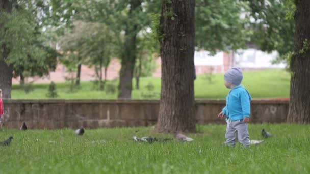 Kleine knappe jongen in blauwe jas loopt over het gazon naar de vogels in het stadspark met een vijver op de achtergrond in slow motion 4k-video — Stockvideo