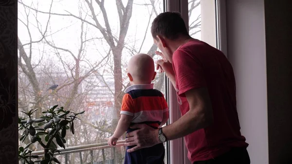 Yaşlı bir adam ve onun sevimli küçük torunu pencere ve büyükbaba tarafından oynuyor bebek çocuk bir kuş yavaş hareket orta shot 4k kapalı video pencerenin arkasındaki ağaçta göstermek