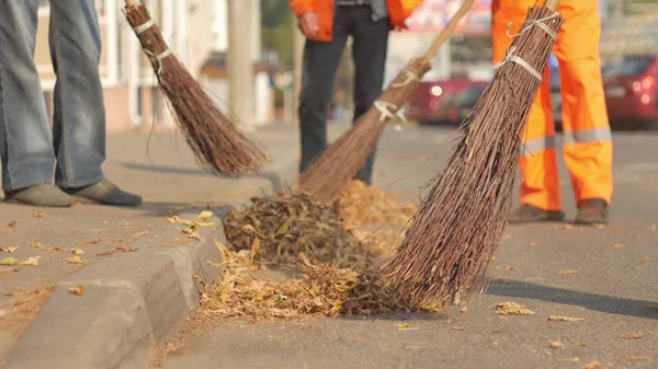 Sonbahar Temizleme sokağa bırakır