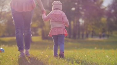 Anne ve bebek gün batımında parkta yürüyorlar. Anne kızlarını tutan kızlarını çimenlerin üzerinden geçerken Arka Işık parlak güneşi, karahindiba tarlasında ki ailede parlıyor. Mutlu aile hayatı kavramı. yavaş çekim