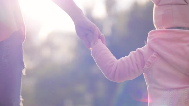 タンポポ畑で家族に照らされた草のバックライト明るい太陽を横切る娘の手を握っているママ。母と赤ちゃんは日没時に公園を歩いています。幸せな家族生活の概念。スローモーション — ストック動画