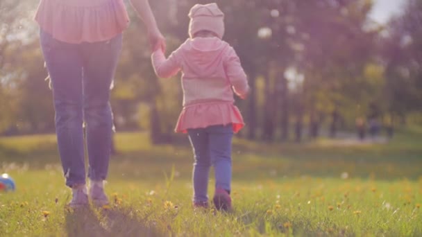 日落时分，妈妈和宝宝在公园里散步。妈妈牵着女儿的手穿过草地，阳光灿烂，照耀着家家在蒲公英的田野上。幸福的家庭生活理念。慢动作 — 图库视频影像