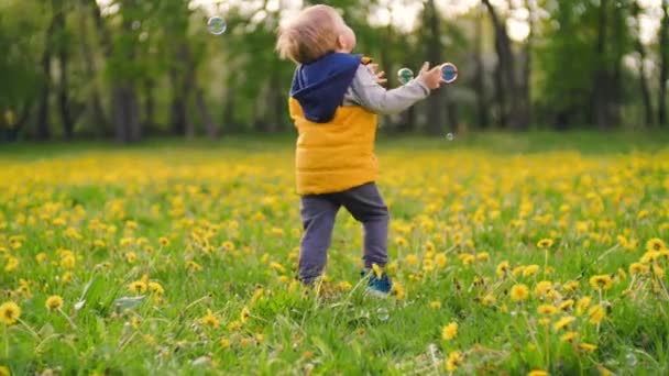 Liten charmig pojke leker med tvål bubblor i parken på en solig dag. Slow motion-video — Stockvideo