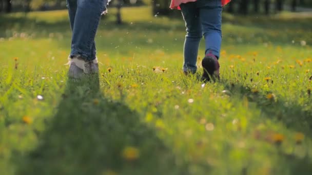 Matka i dziecko chodzą w parku o zachodzie słońca. Mama trzyma córki rękę chodzenie po trawie podświetlenie jasne słońce świeci na rodzinę na polu mniszka lekarskiego. Szczęśliwa koncepcja życia rodzinnego. Zwolnionym — Wideo stockowe