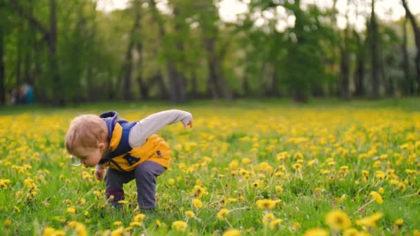 Kleine charmante jongen spelen met zeepbellen in het Park op een zonnige dag. Slow Motion — Stockvideo