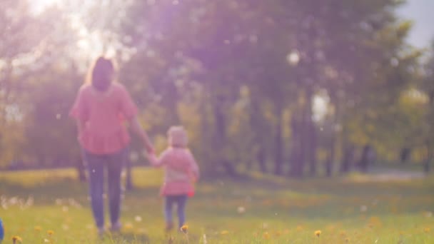 Mujer joven y su hija pequeña están caminando en el parque al atardecer y mamá sosteniendo la mano de los bebés cruzando el campo de diente de león y el sol brillante está brillando en ellos. Concepto de vida familiar feliz en 4K — Vídeos de Stock