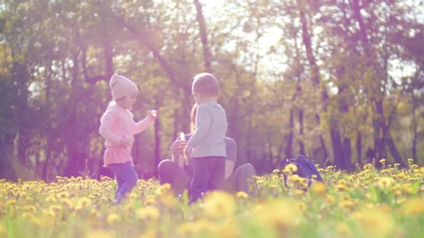 Jeune belle mère et sa petite fille et son petit fils jouent ensemble et les enfants soufflent et attrapent des bulles de savon dans le parc par une journée d'été ensoleillée. Heureuse femme et ses enfants sont — Video