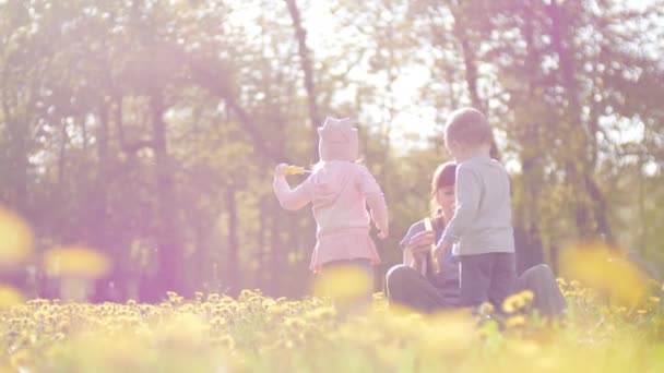 Красивая женщина и ее дети играют вместе, дуя мыльные пузыри в парке в солнечный весенний день в замедленной съемке 4K яркий солнечный свет видео — стоковое видео
