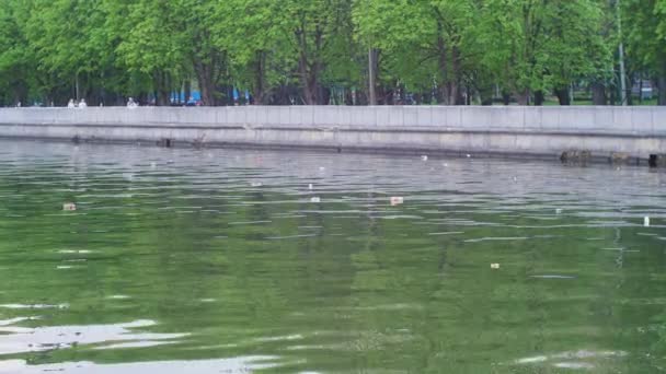 Müll schwimmt im Fluss. Umweltverschmutzung. — Stockvideo