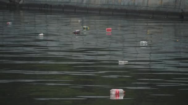 Environmental pollution. Trash floats in a river in the city. Human irresponsibility. — Stock Video