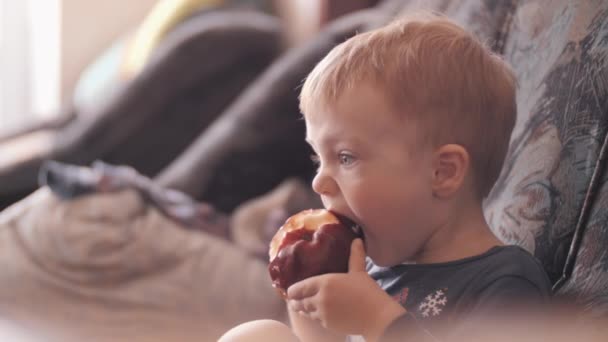 Peuter eet een appel. Goede voeding is het principe van goede gezondheid. Gezond eten — Stockvideo