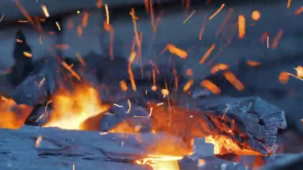 Clouse up sparks from a bonfire fly up — Stock Video