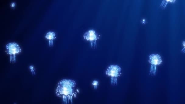 Las medusas se mueven hacia arriba sobre un fondo azul. Marcos del acontecimiento, concierto, diseño del sistema, título, presentación, Web site, DVD, diseñadores, editores y VJ para las pantallas led y los programas del mapa de la proyección. renderizado 3d — Vídeo de stock