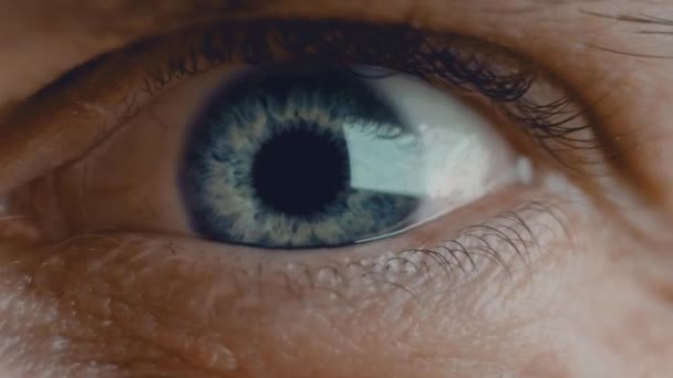 Jeune homme iris bleu oeil macro shot. Le globe oculaire avec pupille bleue et vaisseaux sanguins se déplace à l'envers et de gauche à droite. Concept de vision saine. Vue de face ralenti fermer la vidéo en 4K. — Video