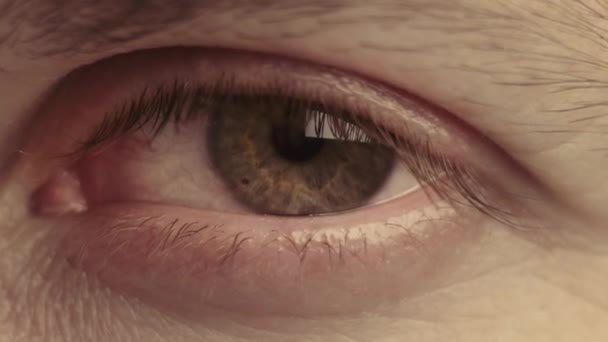 El primer plano de un ojo verde. El ojo humano, el hombre mira y parpadea. iris macroojo — Vídeos de Stock