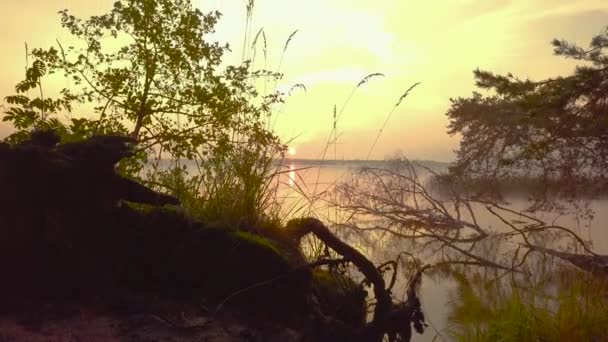 Incredibilmente bella mattina presto sul lago. nebbia sulla superficie dell'acqua nei raggi di un'alba arancione. vista drone 4K. movimento della fotocamera dal basso verso l'alto — Video Stock