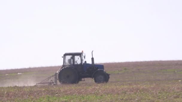 Trattore taglia solchi in campo agricolo per la semina trattore agricolo con erpice rotante preparando terreno per la semina. Trattore con erpici prepara i terreni agricoli per la semina — Video Stock