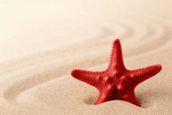 Αστέρι Στη Θάλασσα Αστερίες Στην Άμμο Μοτίβο Γραμμών Στο Παρασκήνιο — Φωτογραφία Αρχείου