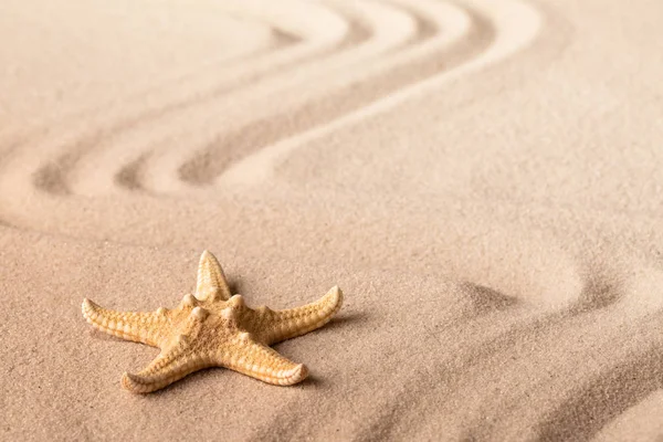 Singola Stella Marina Sulla Spiaggia Sabbia Mare Sulla Sabbia — Foto Stock