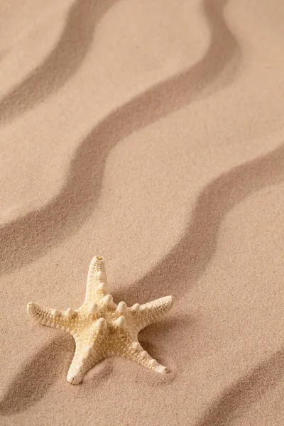 Sea Star Starfish Tropical Beach Sand Sandy Background Rippled Lines — Stock Photo, Image