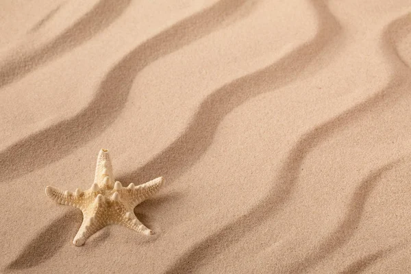 Stella Marina Mare Sulla Riva Una Spiaggia Sabbia Ondulata Estiva — Foto Stock